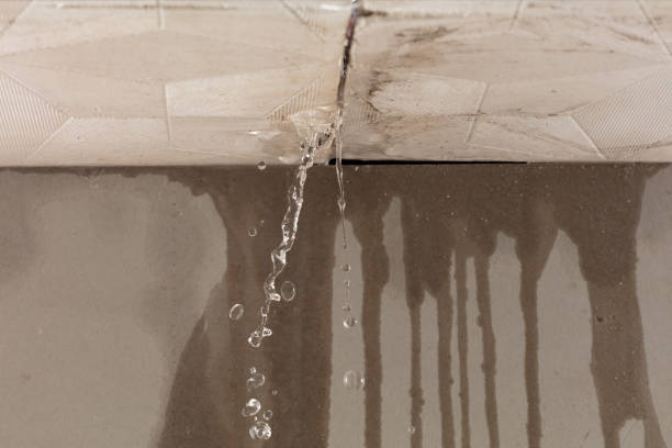 Professional Burst Pipe Cleanup technician working in Bradley, SC